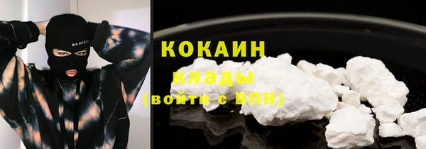 гидра Каменка