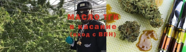 хмурый Каменногорск