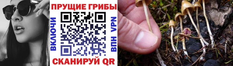 Галлюциногенные грибы мухоморы ссылка на мегу ссылки Саянск